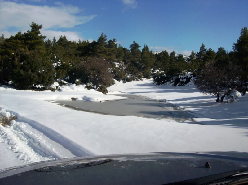 100_1693.JPG
