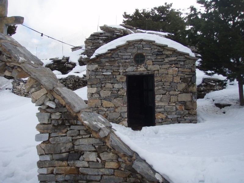 P1150390.jpg