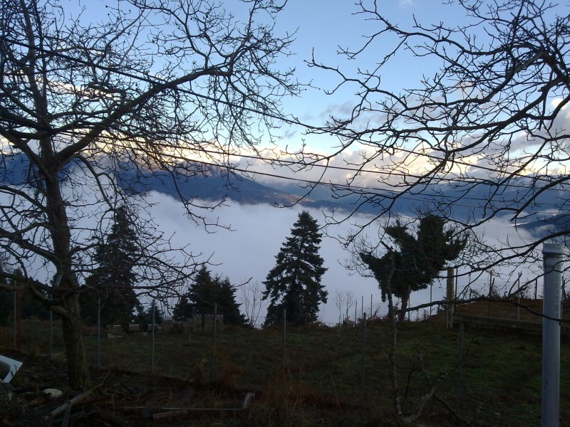 Αντίγραφο από 14012012029.jpg