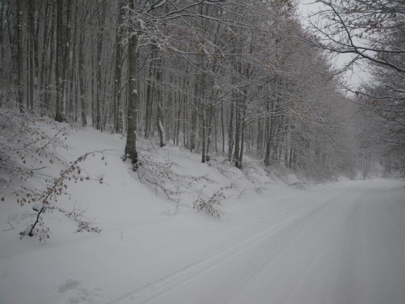 a6_1024x768.jpg