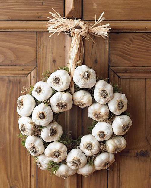 seed---_garlic.jpg