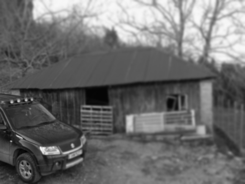 P1130910grey.JPG