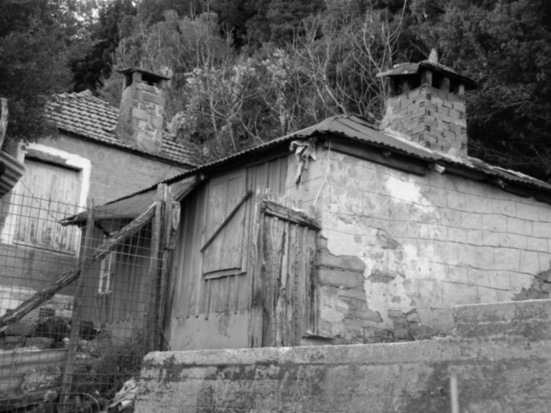 P1130917grey.JPG