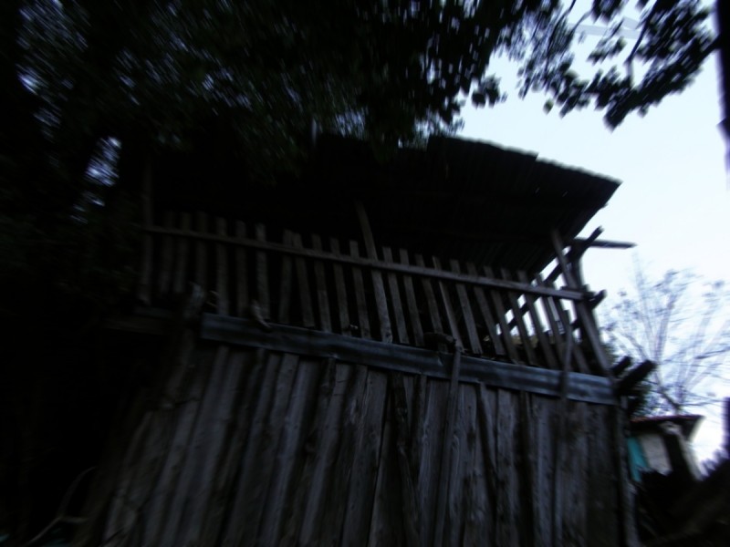 P1130922zoom.jpg
