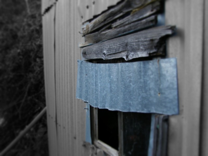 P1130923grey.JPG