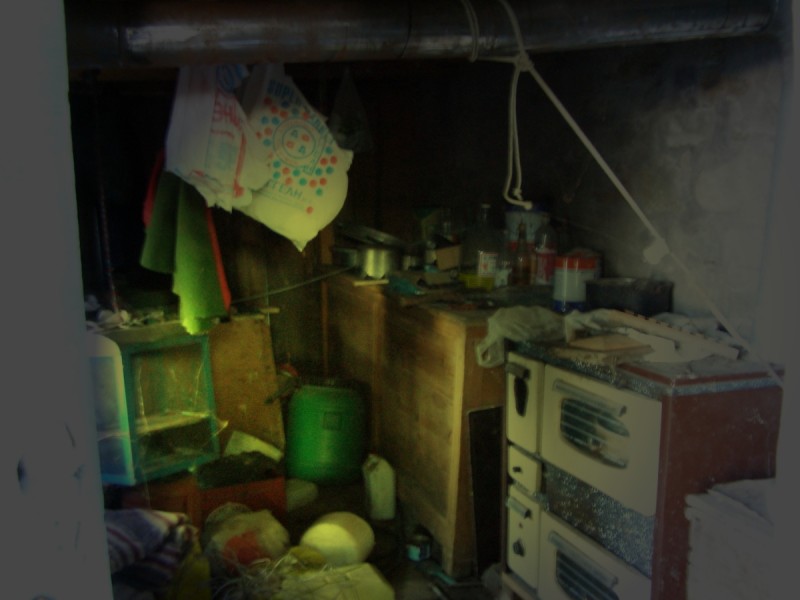 P1130926light.jpg