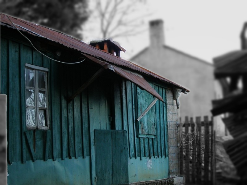 P1130927grey.JPG