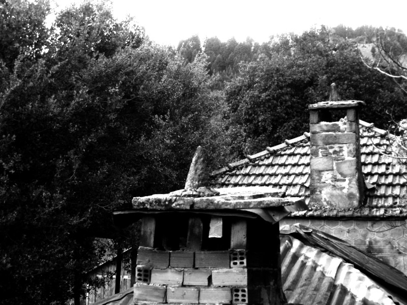 P1130931grey.JPG