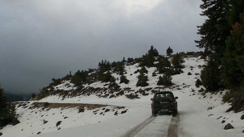 SANY0127.jpg