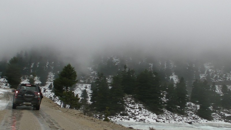SANY0133.jpg