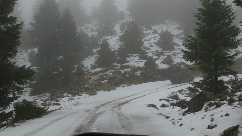 SANY0136.jpg