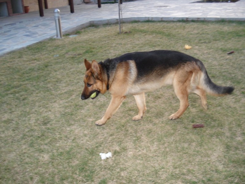 DSC04303 (929 x 697).jpg