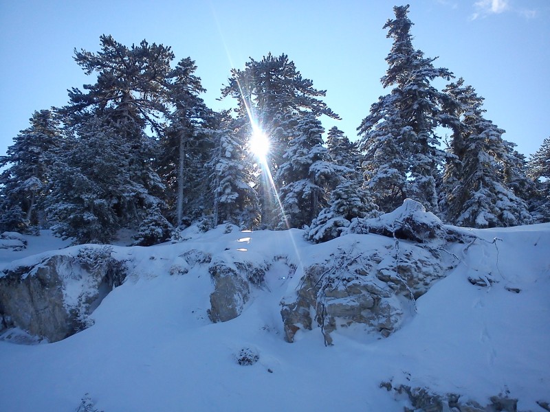 DSC01522.jpg