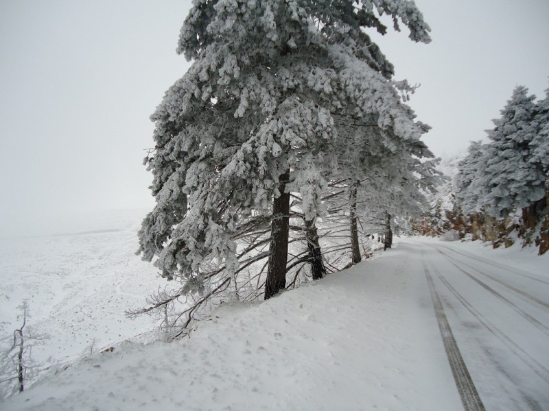 DSC00106.JPG