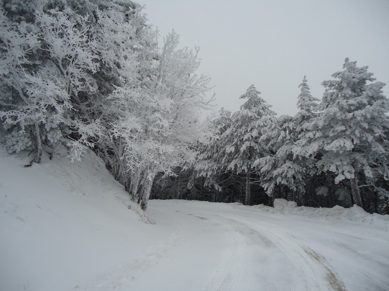 DSC00117.JPG