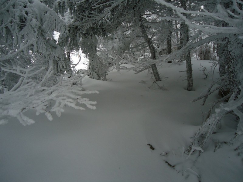 DSC00252.JPG