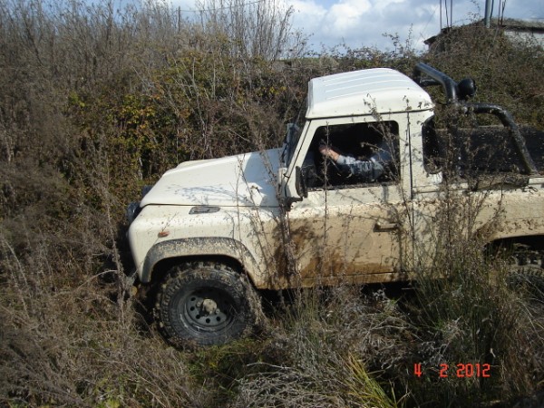 DSC03303.jpg