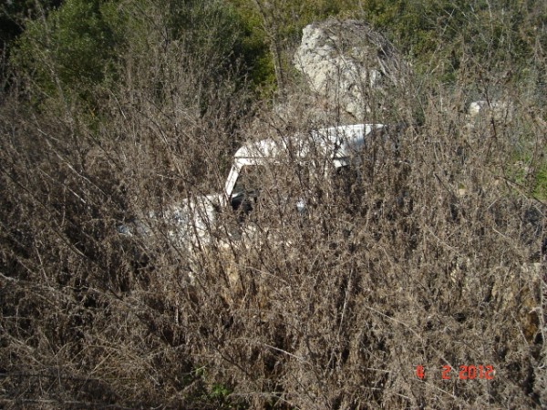 DSC03305.jpg
