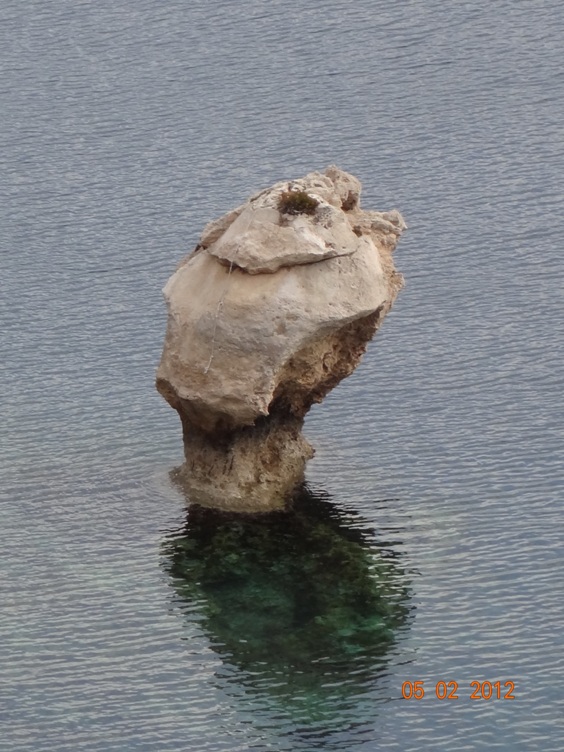 DSC00040.JPG