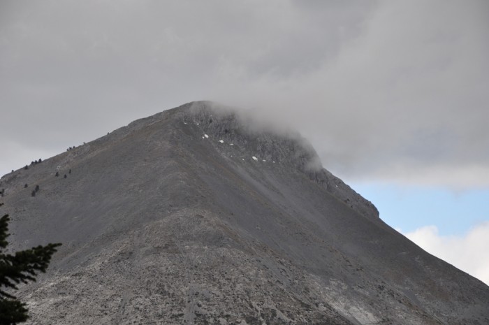 DSC_0363.jpg