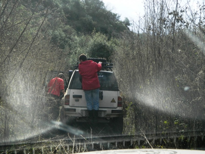DSCN0219.JPG