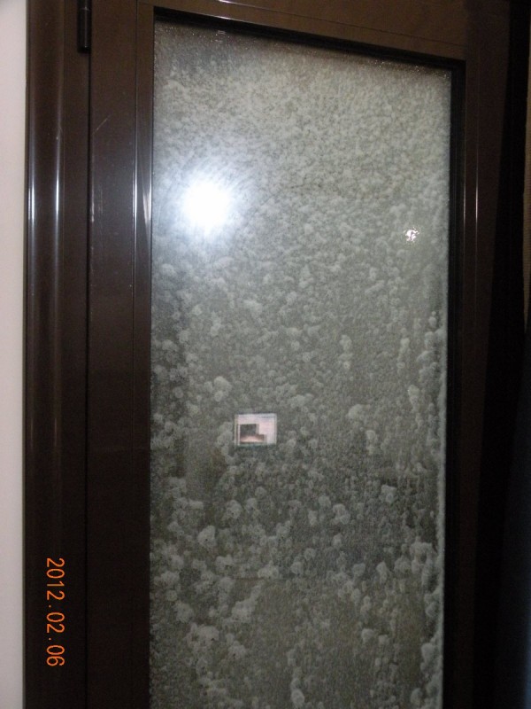 DSCN5374v.JPG