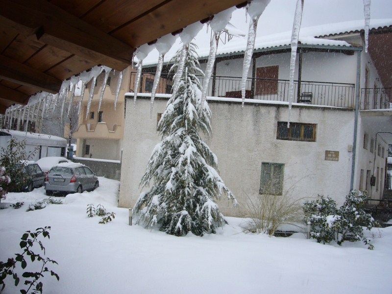 P1080936.jpg