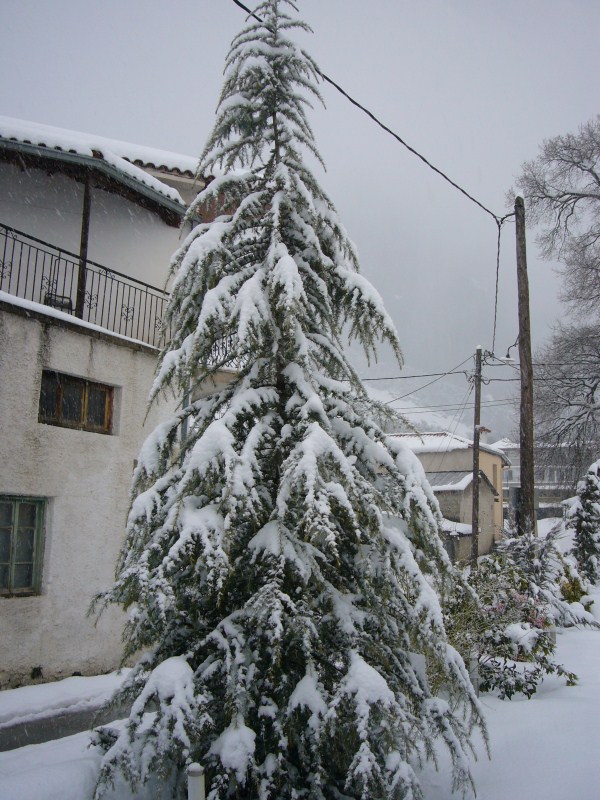 P1080937.jpg