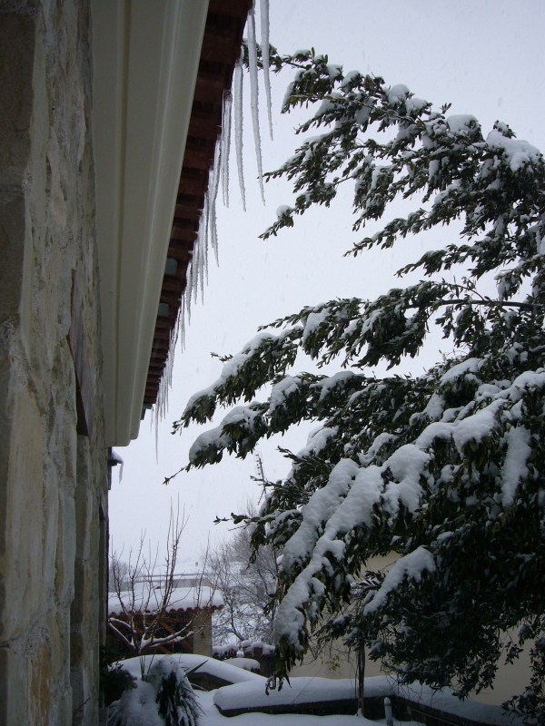 P1080938.jpg