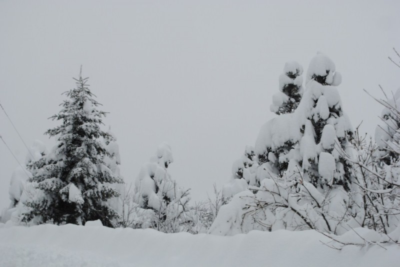 DSC_4358.jpg