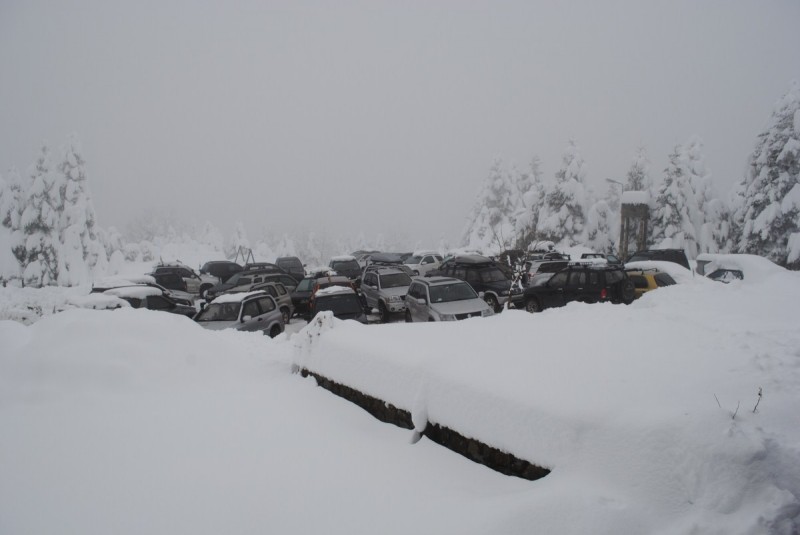 DSC_4459.jpg