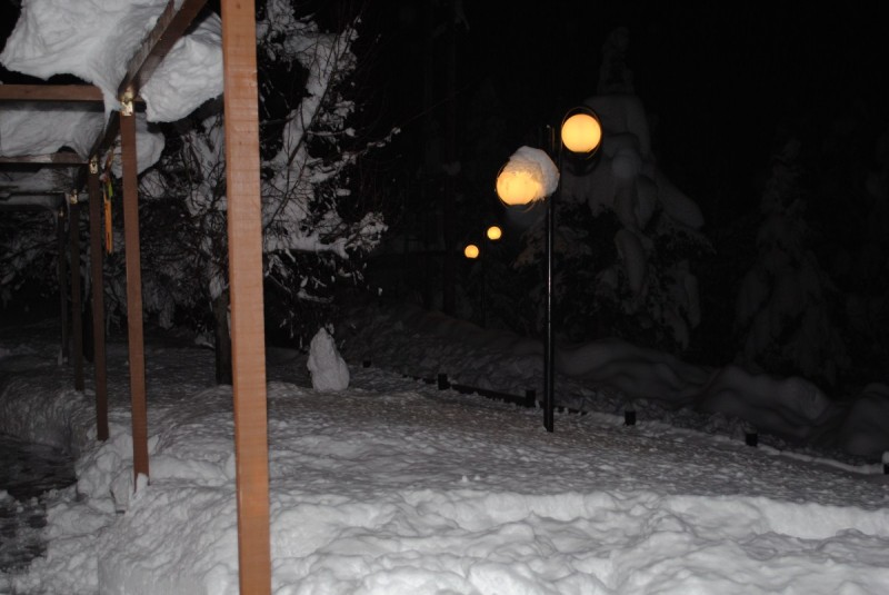 DSC_4526.jpg