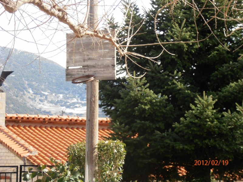 P2190044.jpg