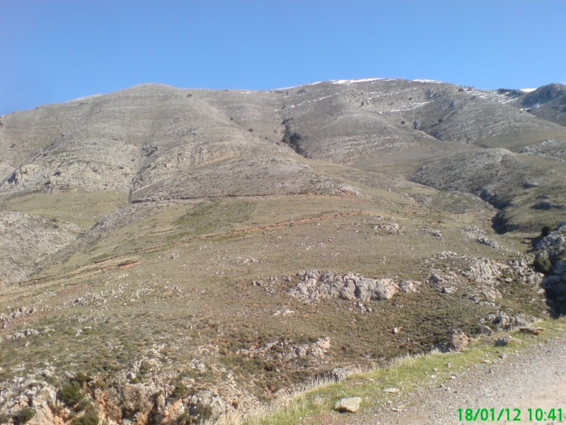 DSC00598 (800 x 600).jpg