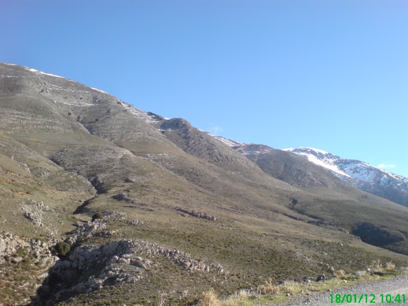 DSC00597 (800 x 600).jpg