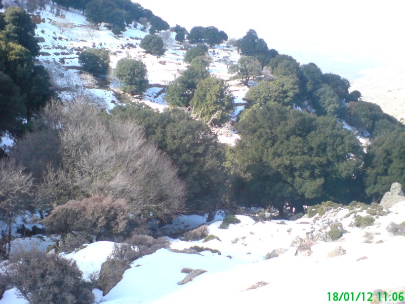 DSC00590 (800 x 600).jpg