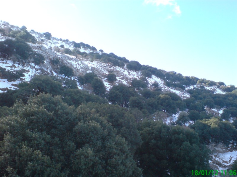 DSC00589 (800 x 600).jpg