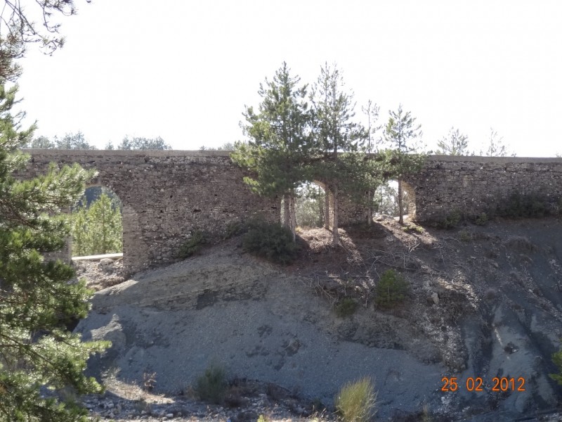 DSC00206.JPG