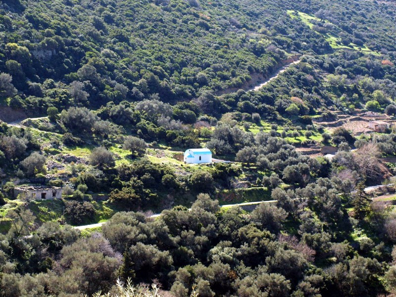 p3167987-web.jpg