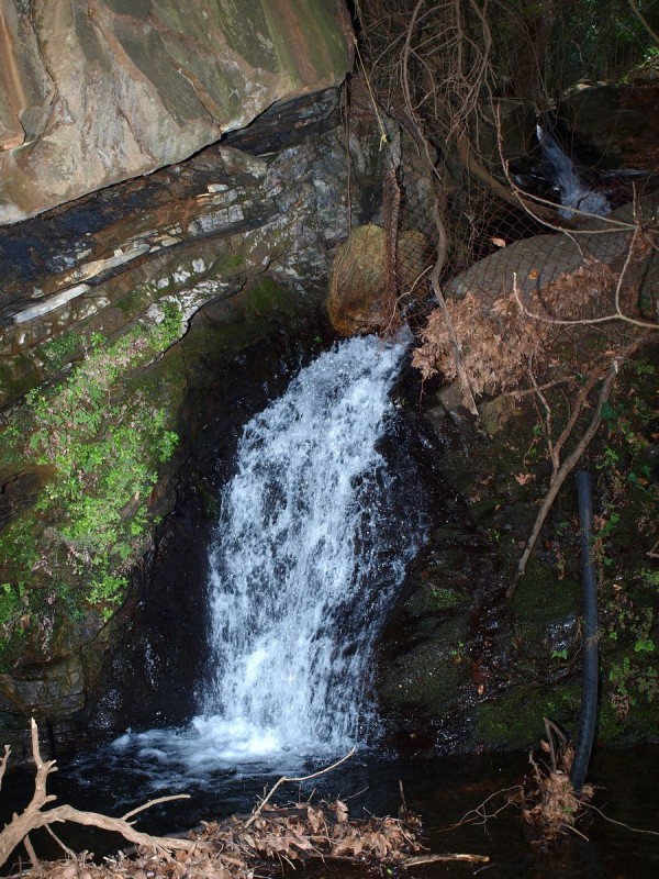 p3168006 1-web.jpg
