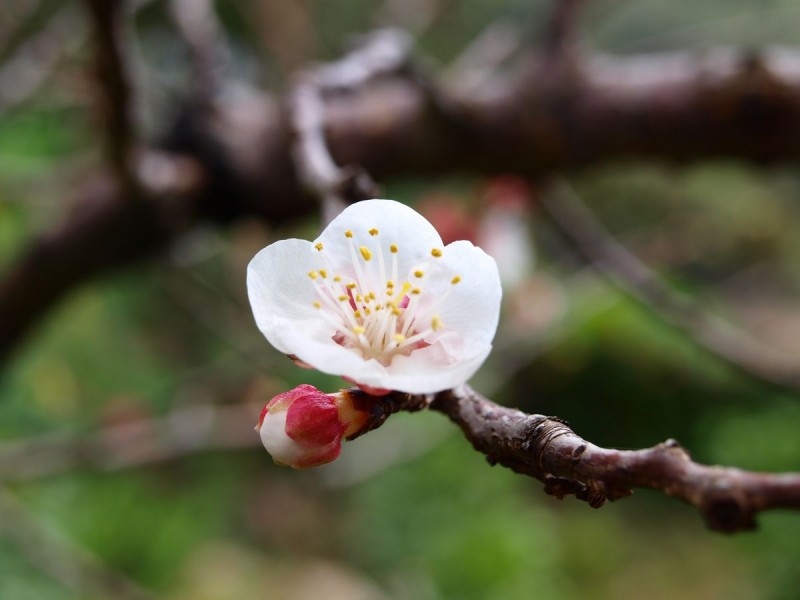 p3168016-web.jpg