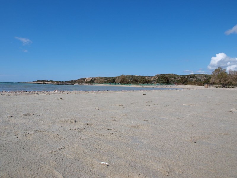 p3178069-web.jpg