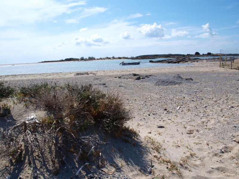 p3178071-web.jpg