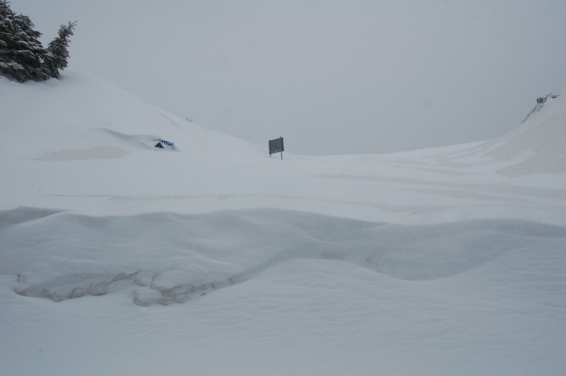 DSC_0668.JPG