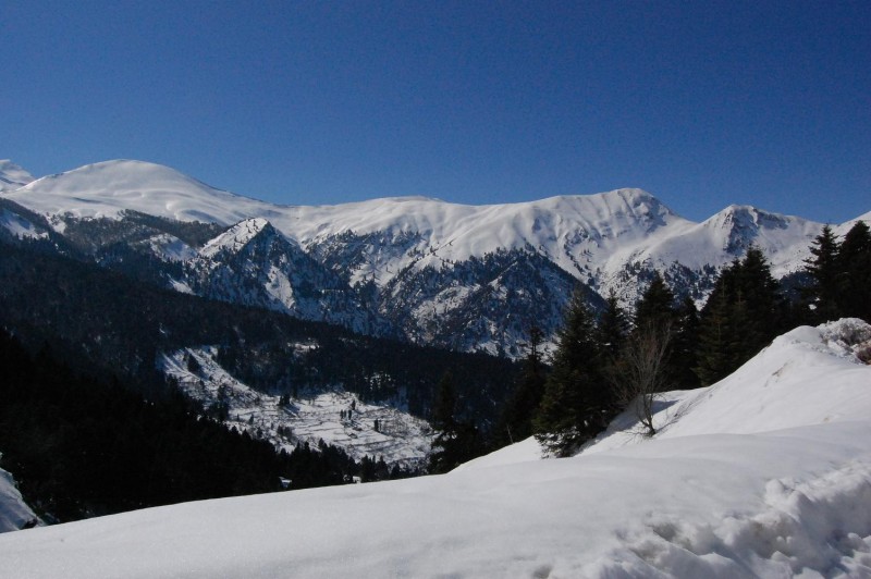 DSC_0686.JPG