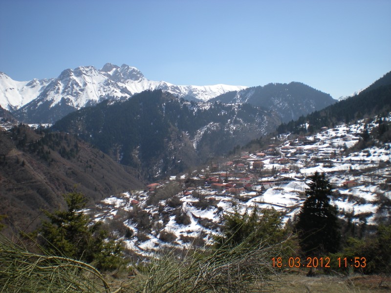 DSCN1253.jpg