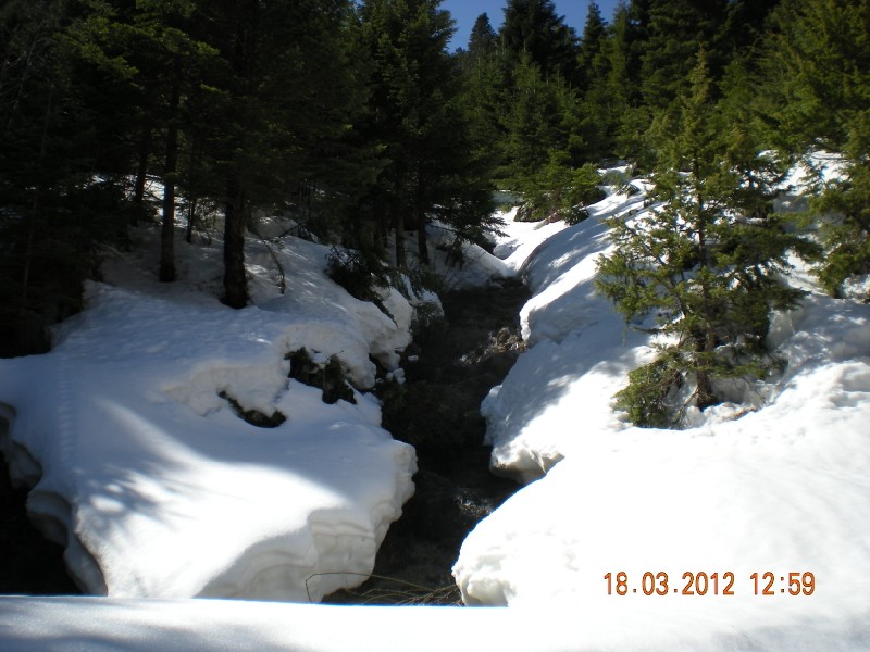 DSCN1261.jpg