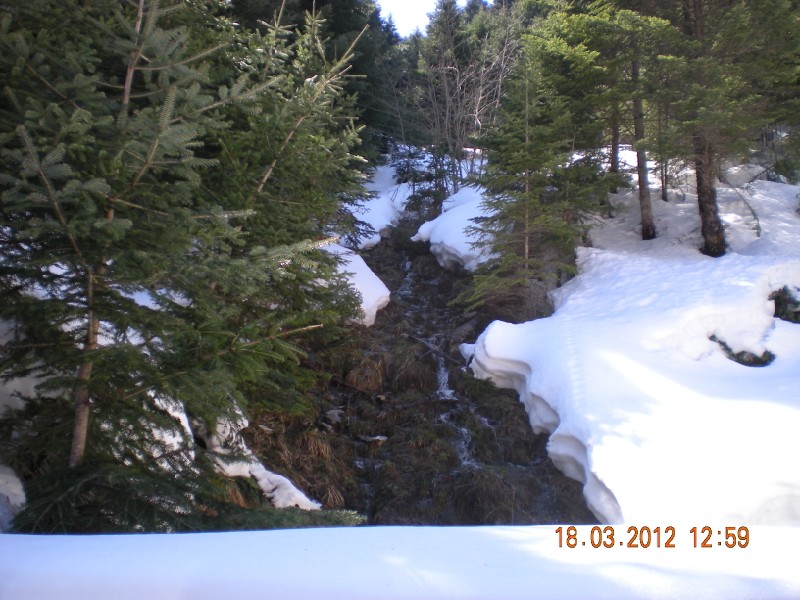DSCN1262.jpg