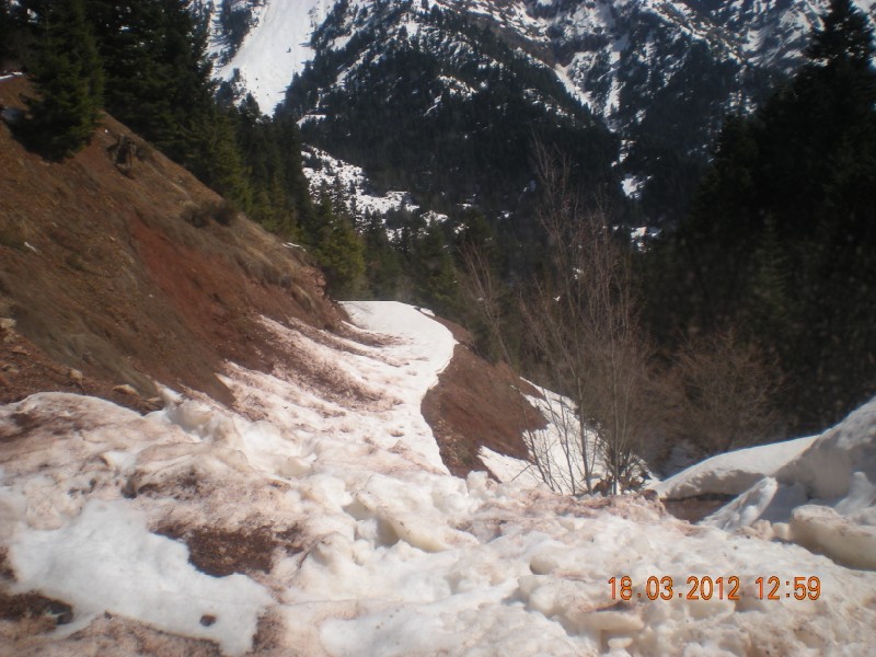 DSCN1263.jpg