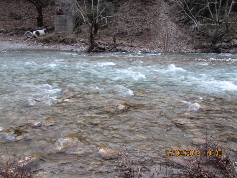 IMG_0995.jpg